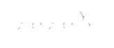 Baybayin Library Logo